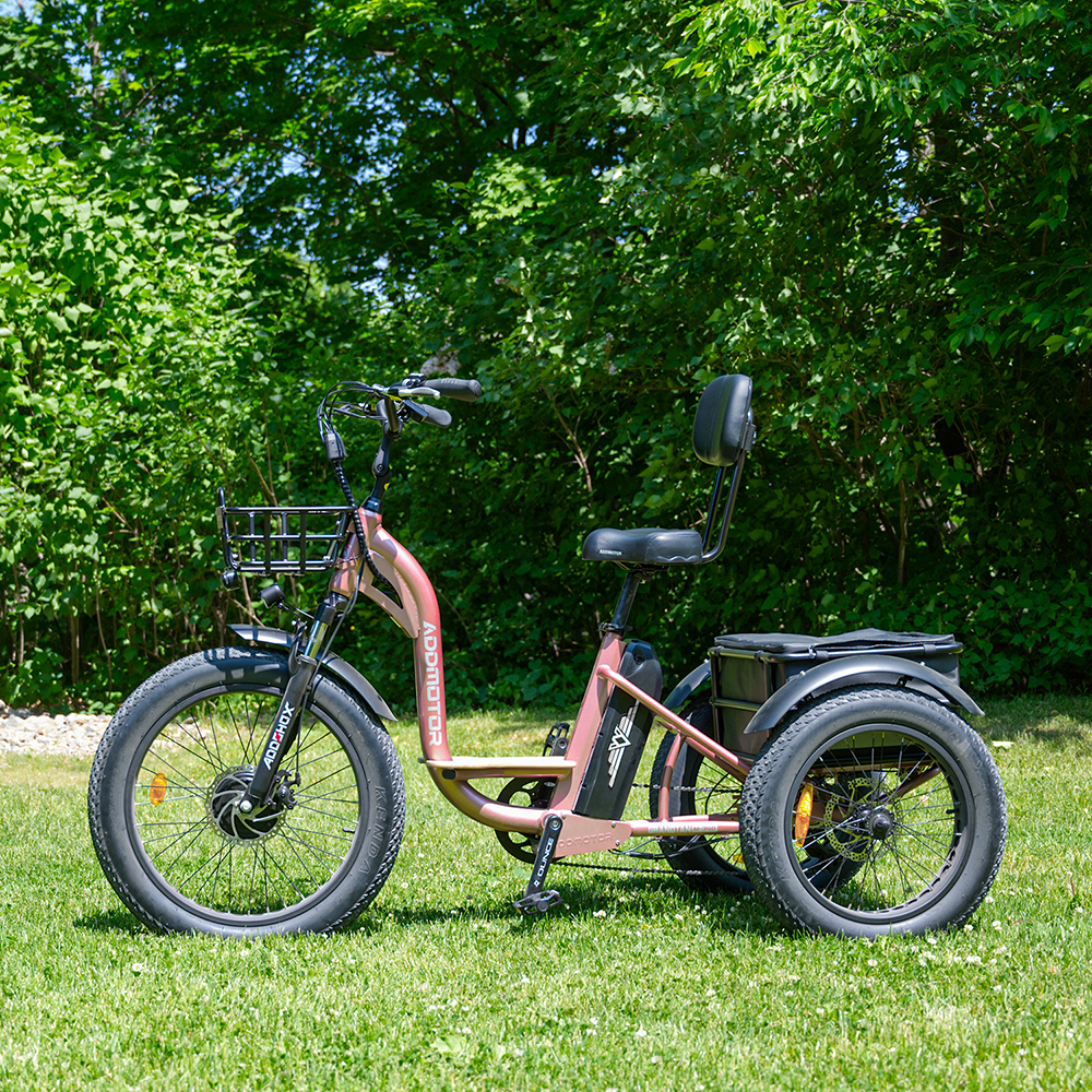 How to Choose the Best Electric Trikes for Seniors?