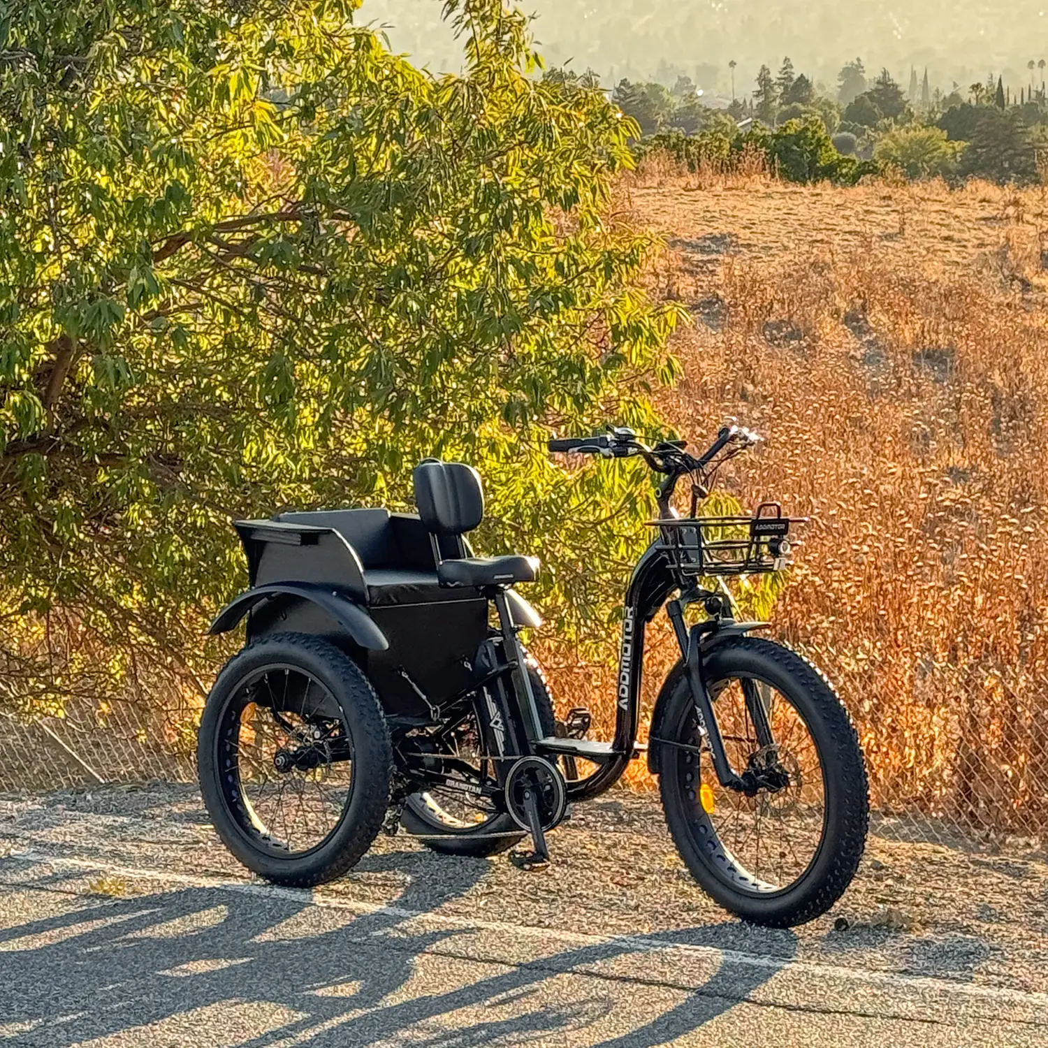 Addmotor's Guide to Choosing the Best Fat Tire Electric Trike