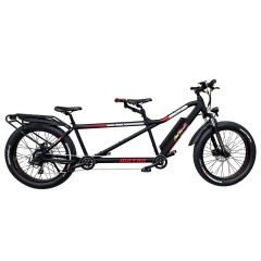 Electric bicycle cheap built for two