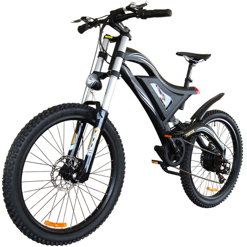 radcity electric bike