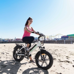 M-50 Step-Thru Electric Bike