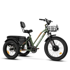 Addmotor motan m 350 electric discount tricycle 24 inch