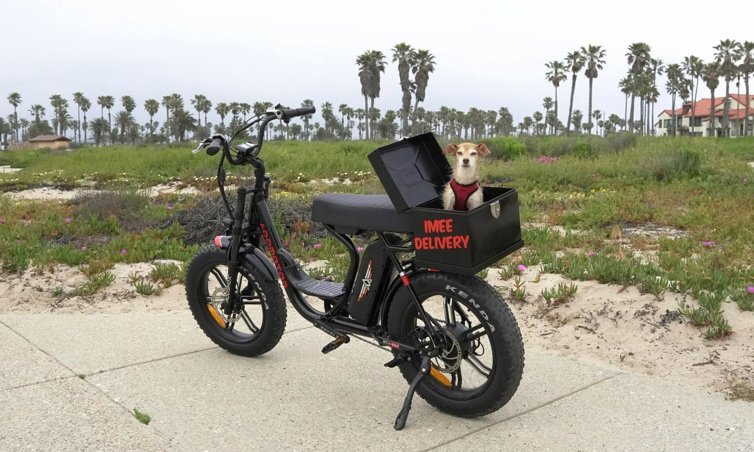 M-66R7 Electric Bike Right Cargo Bike for Your Dog