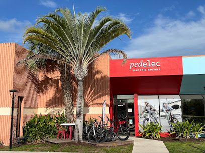 Pedelec SQB Electric Bicycles