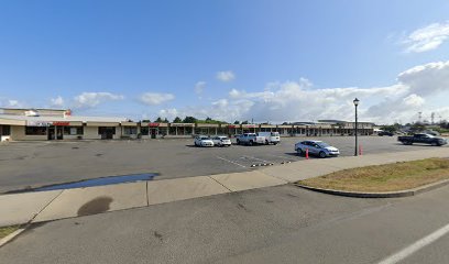 Electric Beach Bike Rentals