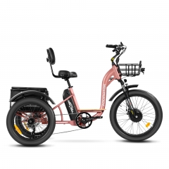 Triciclo eléctrico Addmotor Citytri E-310: la forma más económica de andar  con estilo - Dirt Bike Magazine