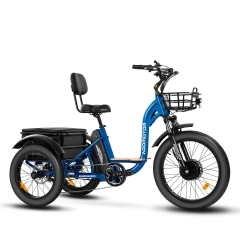 Addmotor electric online tricycle