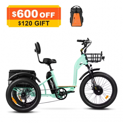 Electric Tricycles for Adults - Crazy Lenny's eBikes