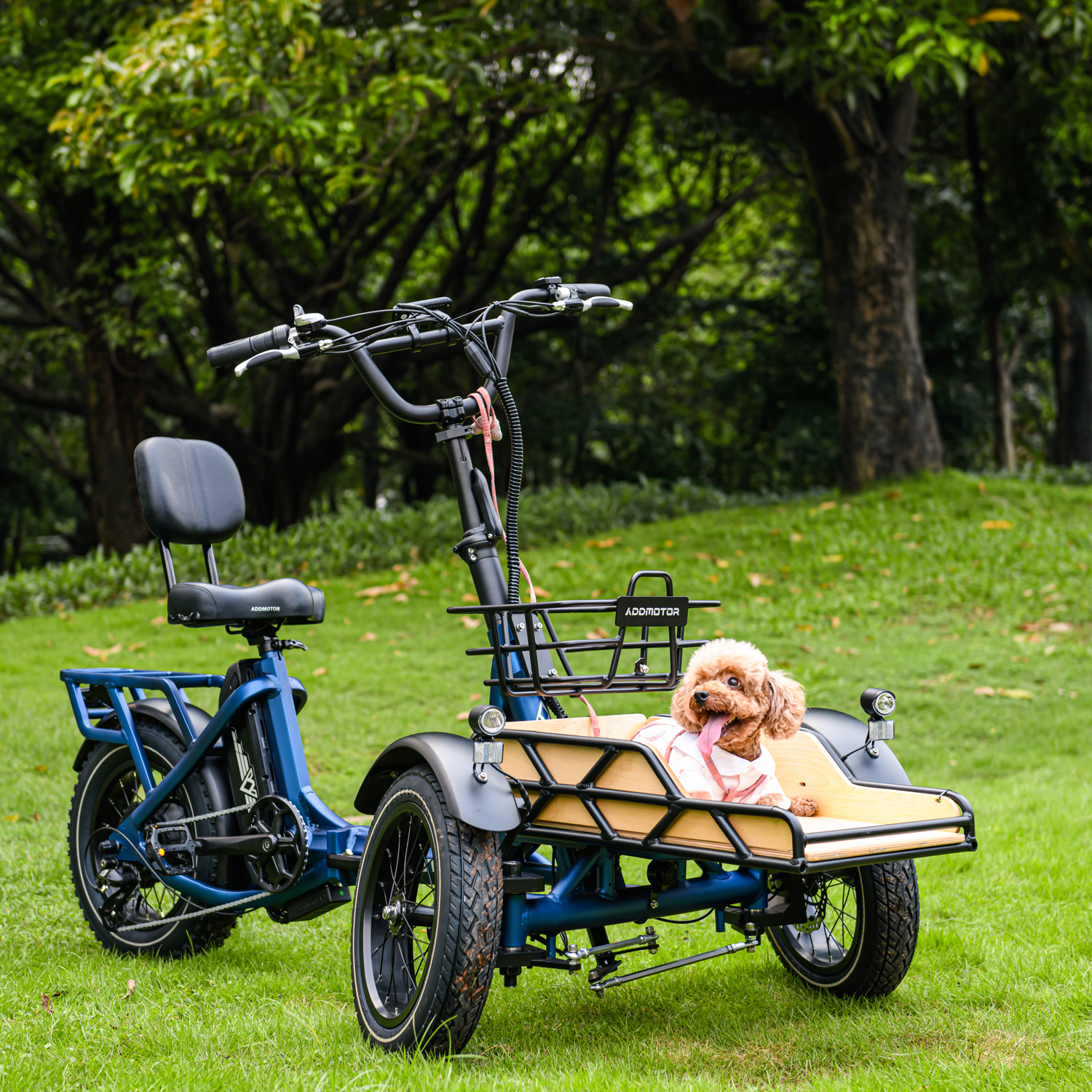 Spytan with dog
