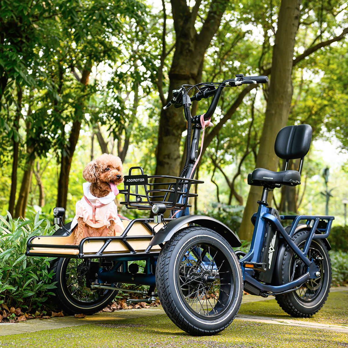 Embrace a New Era of Cycling: Discover the Addmotor SPYTAN Electric Bike