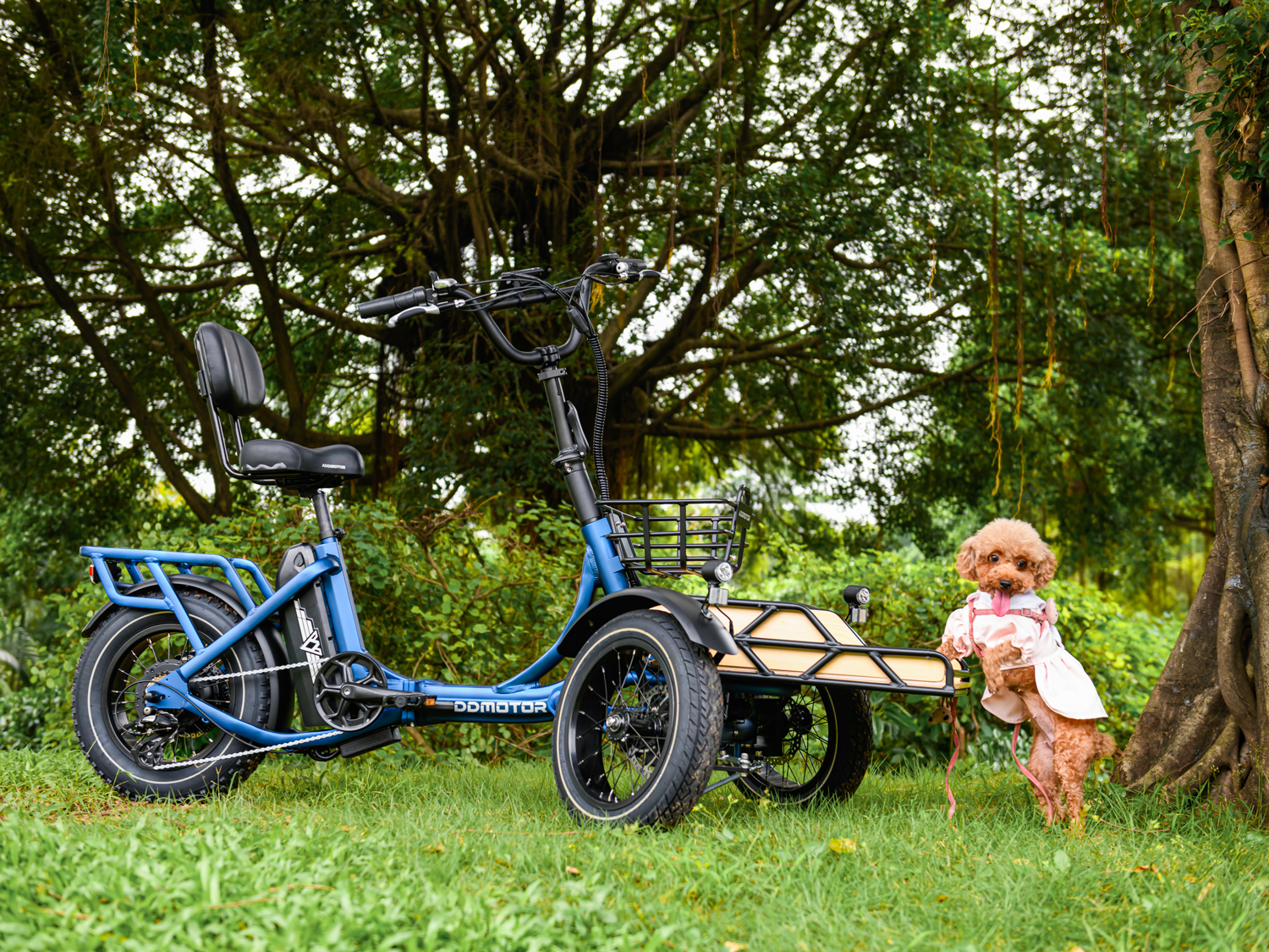 How to Ride an Electric Bike with Your Dog: A Guide to Trike Adventures