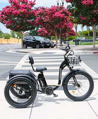 Riding a fat tire electric tricycle to the park