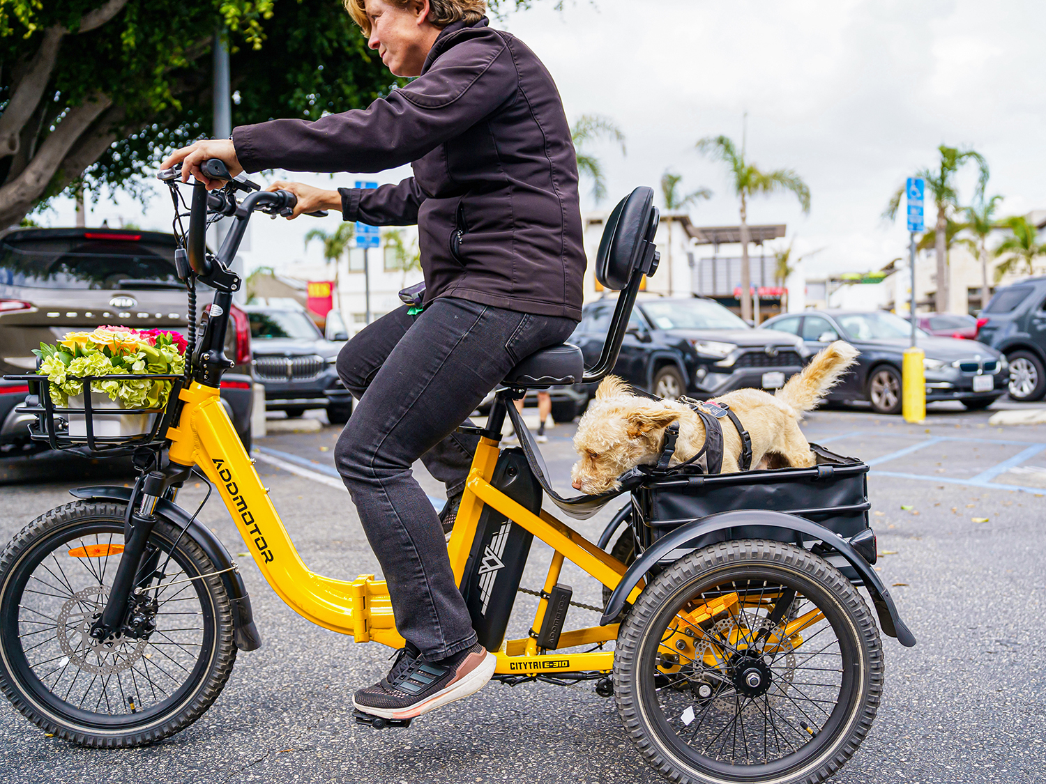 Addmotor Citytri E-310 electric trike which can carry a dog