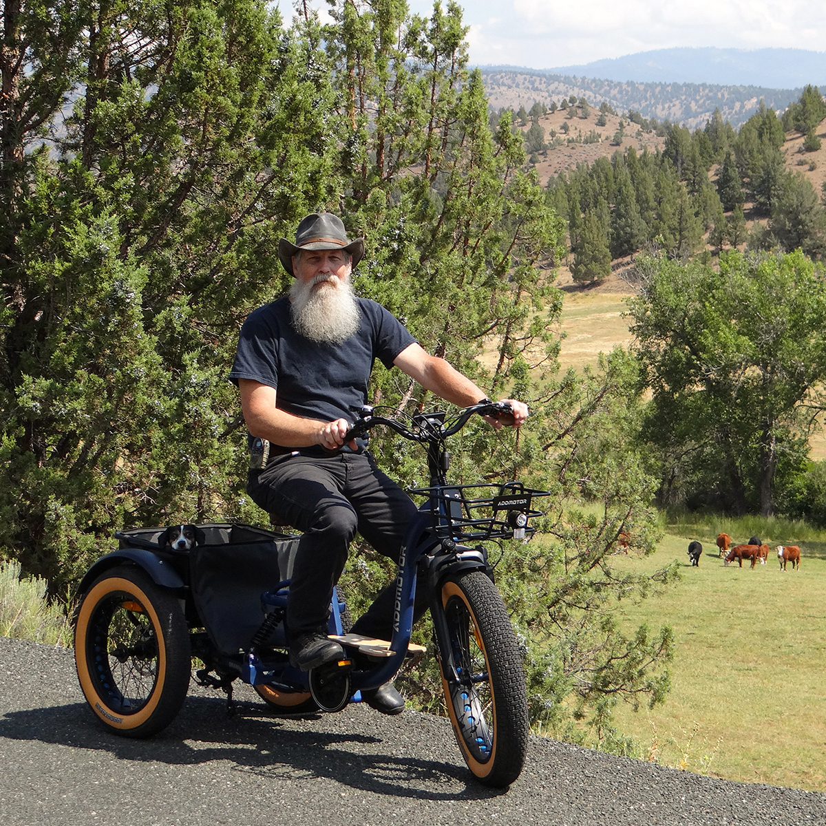 Beyond Two Wheels: Why Elderly Riders Choose Addmotor Electric Trikes