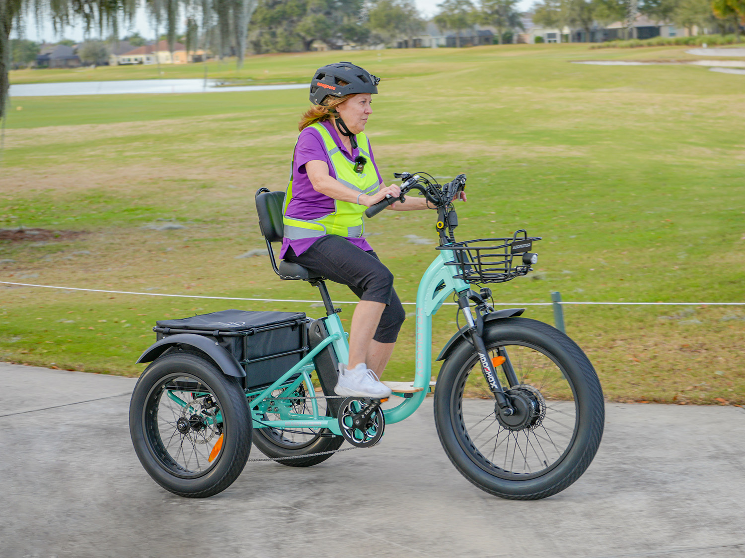 senior electric trike