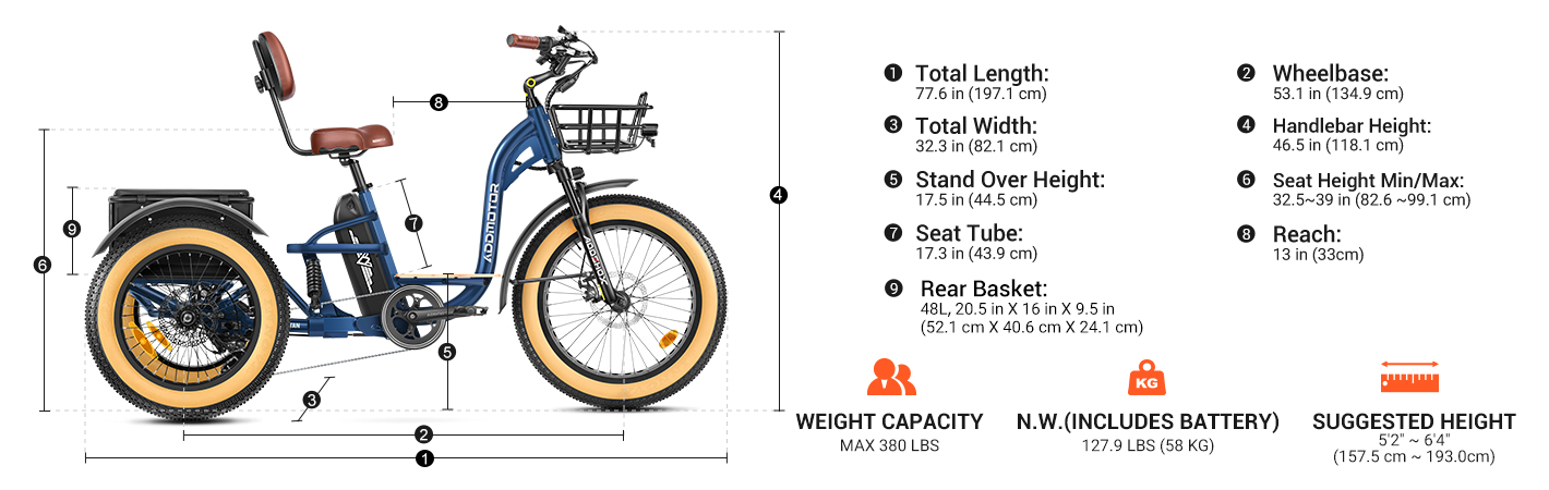 GRANDTAN X eTrike's measurements