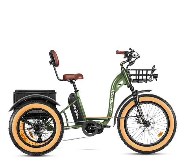 Addmotor Grandtan Turbo E-trike in Army Green