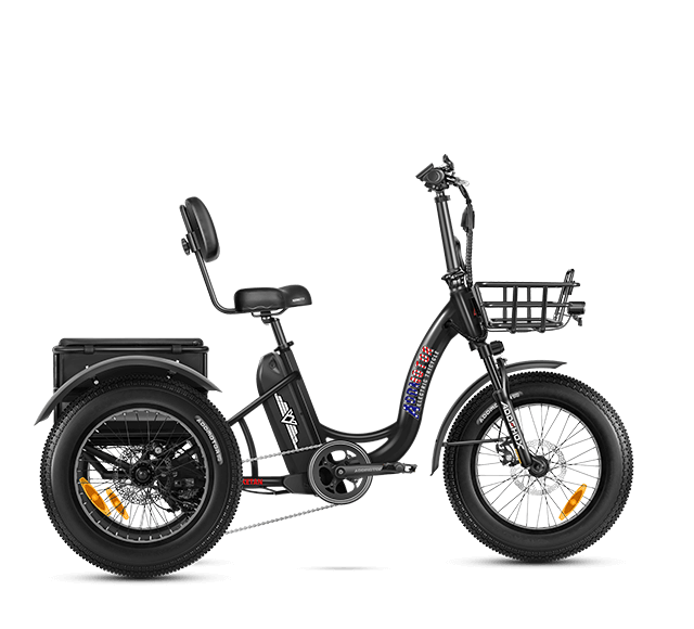 Triketan M-330 Electric Tricycle in Black