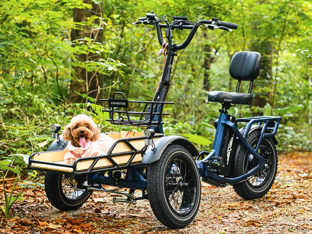 2-Front-Wheel eTrikes