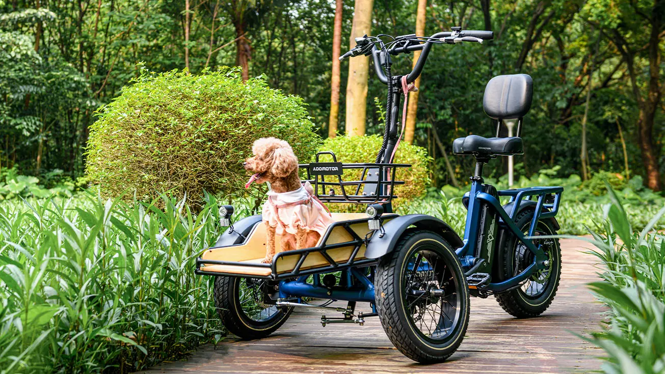 Spytan electric cargo bike with a dog