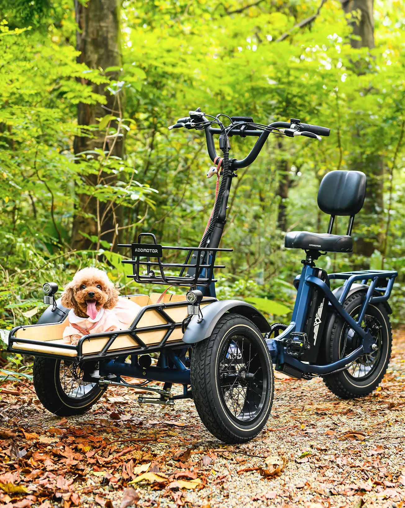 Spytan electric trike