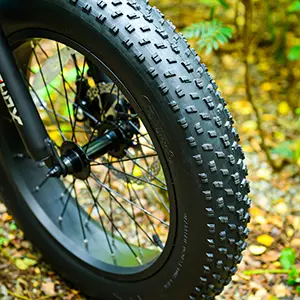 Landtan electric trike's fat tire