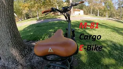  BikeDasher Cover