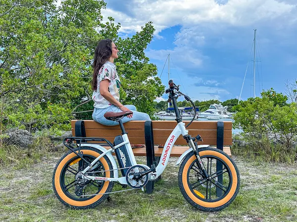 foldtan m-140 folding electric bike