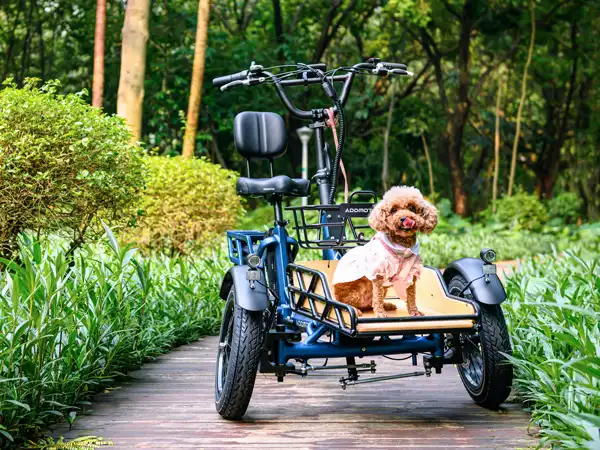 a pet dog on Spytan 2-front-wheel electric trike