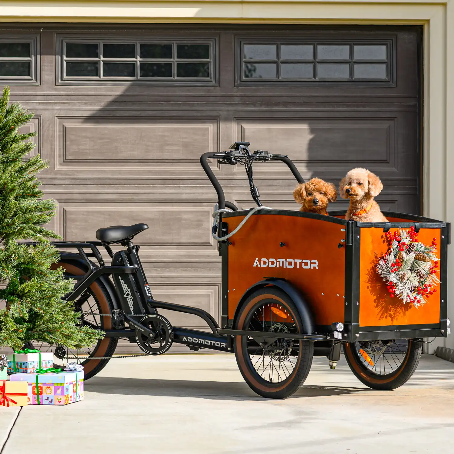 E‑325 Cargo Electric Trike