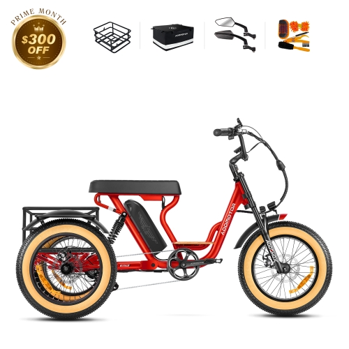 Soletri II M-366X Full-Suspension eTrike