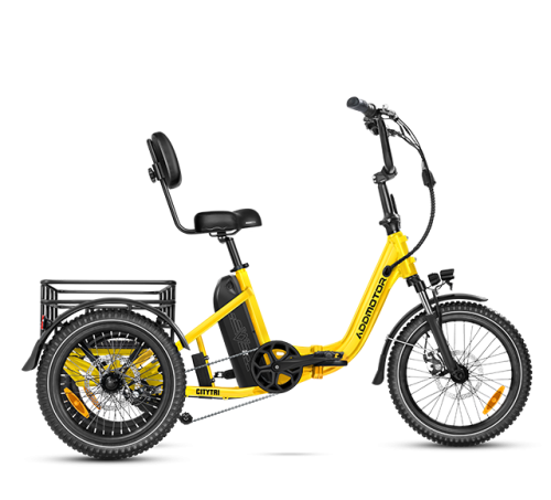 Citytri E-310 Folding eTrike