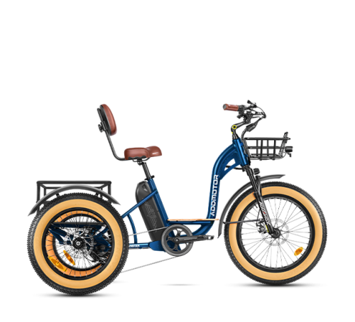 Grandtan M-340 eTrike