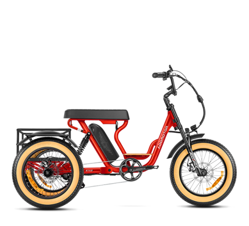 Soletri II M-366X Full-Suspension eTrike